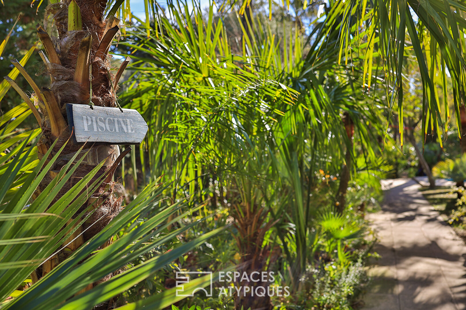 Photo Villa et sa très jolie palmeraie en centre-ville image 3/6