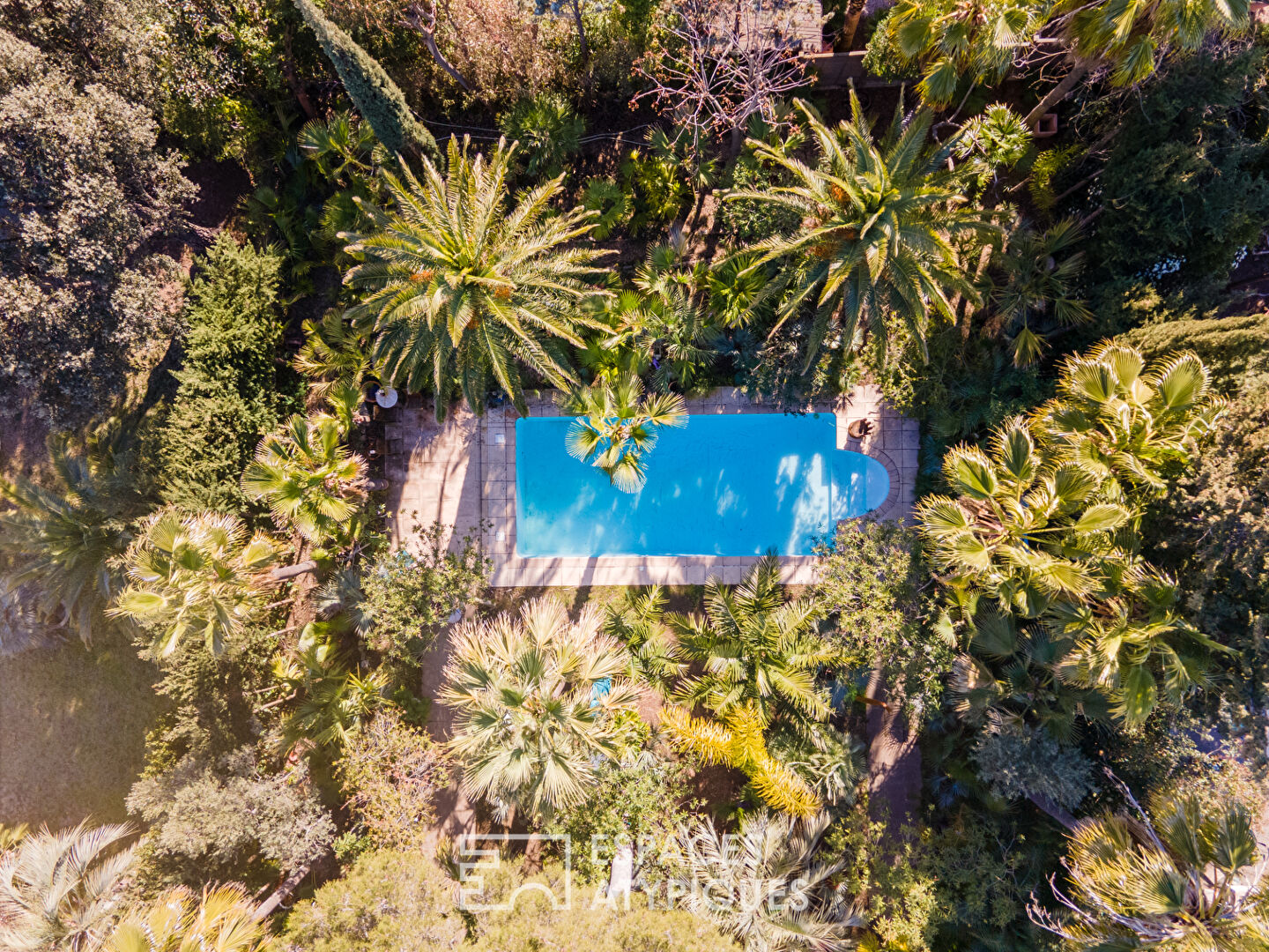 Photo Villa et sa très jolie palmeraie en centre-ville image 4/6