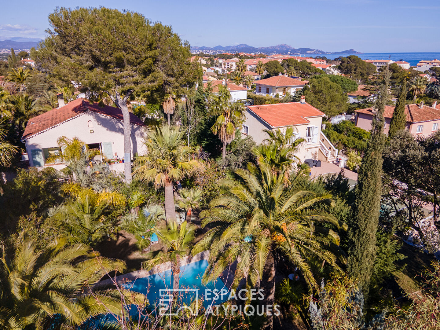 Photo Villa et sa très jolie palmeraie en centre-ville image 5/6