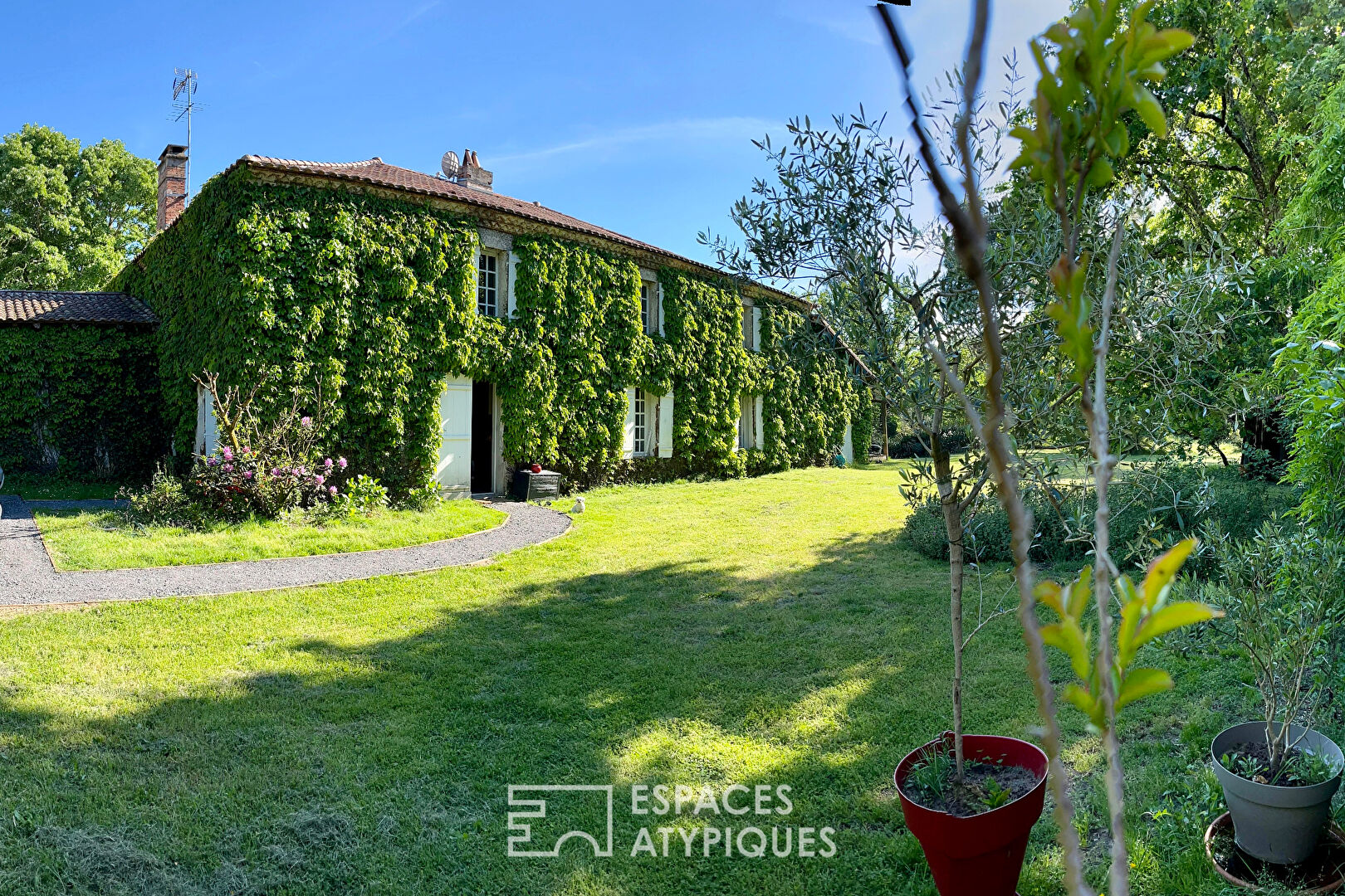 Photo Charmante maison bourgeoise au coeur de Saugnac-et-Muret image 2/6