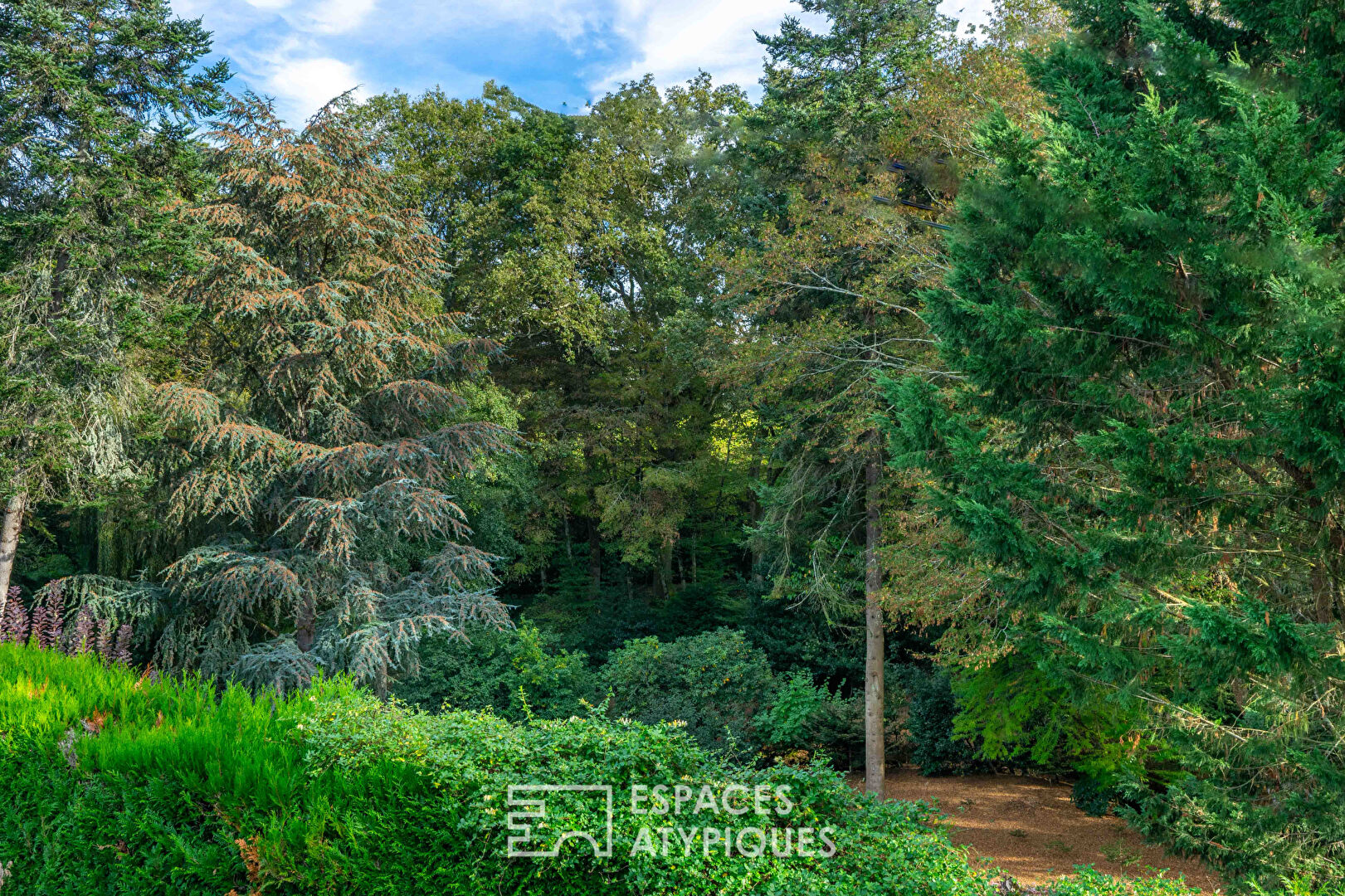 Photo Maison de charme et sa terrasse avec vue image 5/6