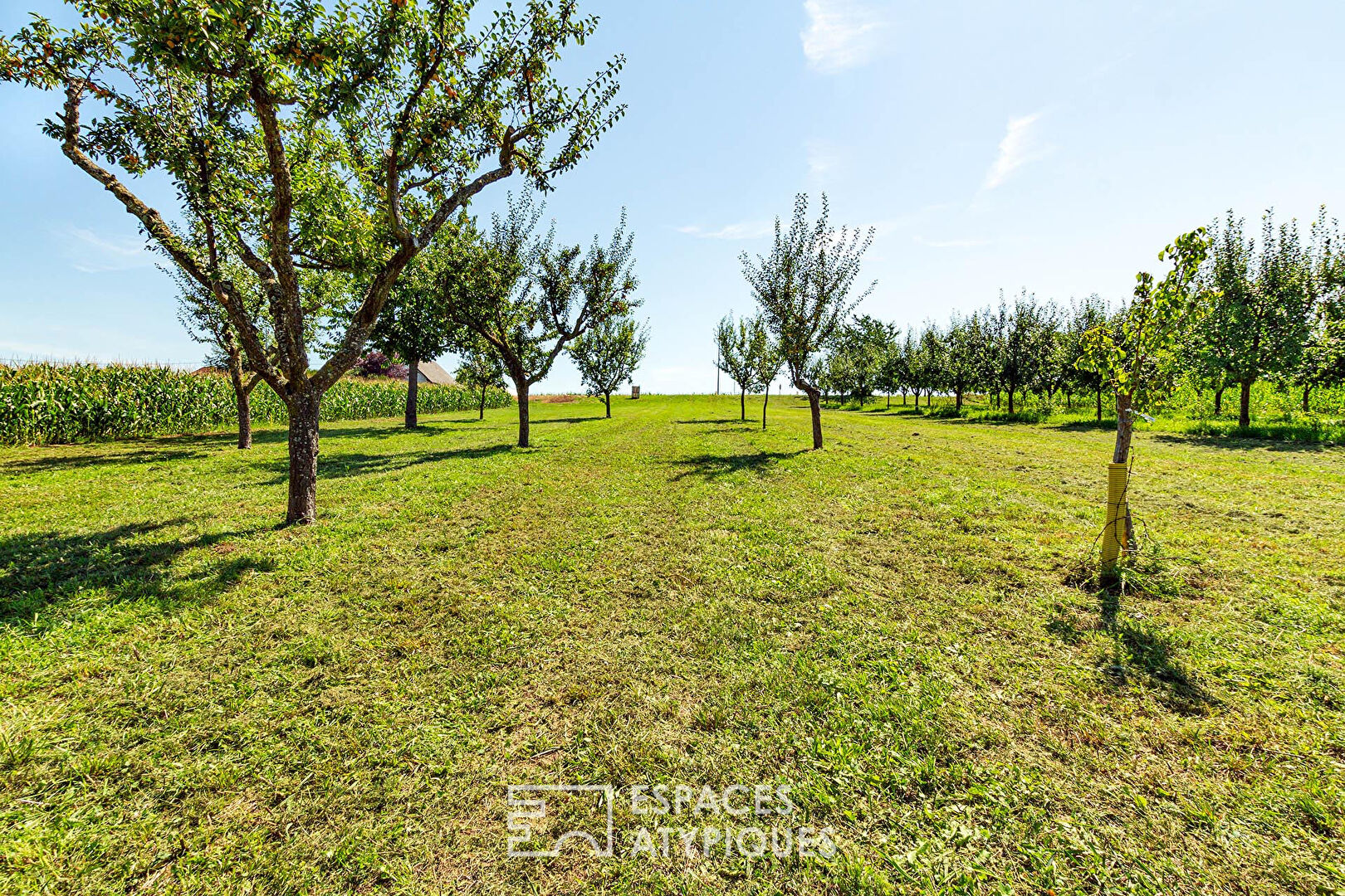 Photo Terrain au calme avec vue dégagée image 4/6