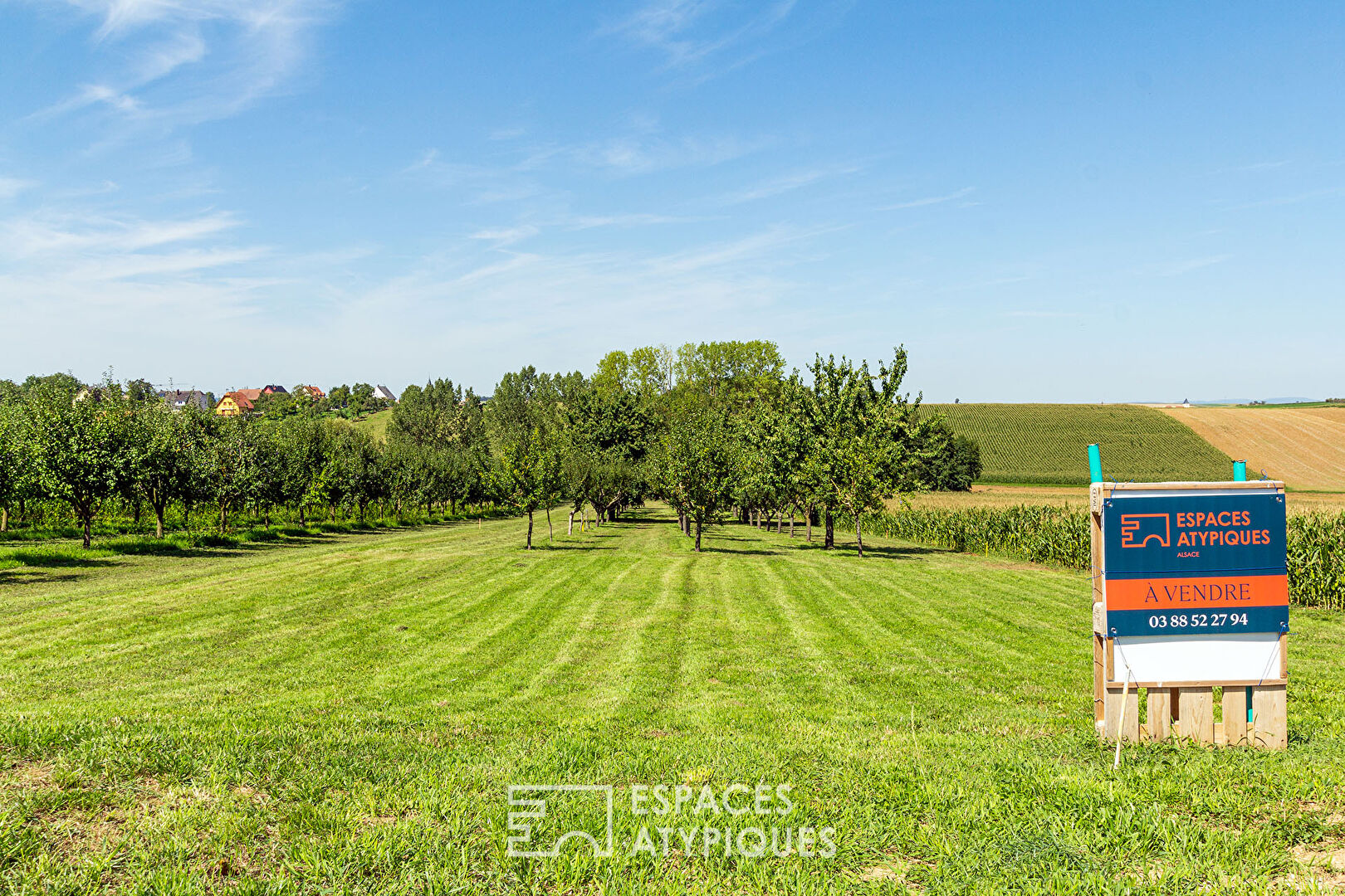 Photo Terrain au calme avec vue dégagée image 5/6