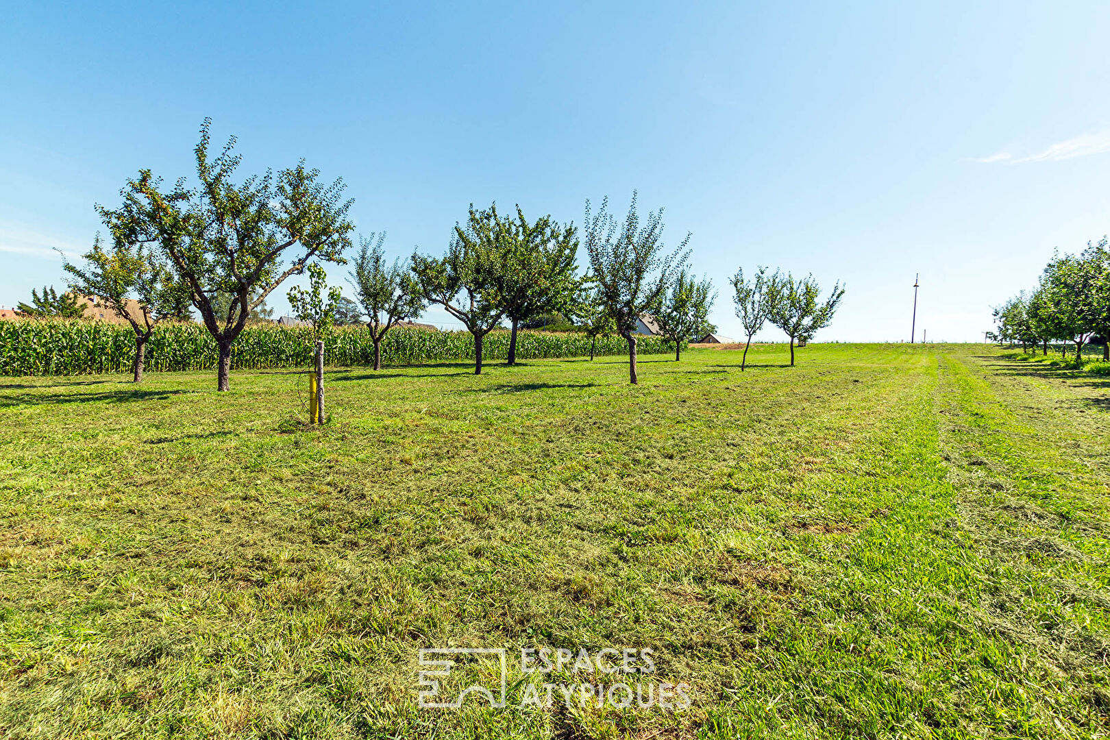 Photo Terrain au calme avec vue dégagée image 6/6