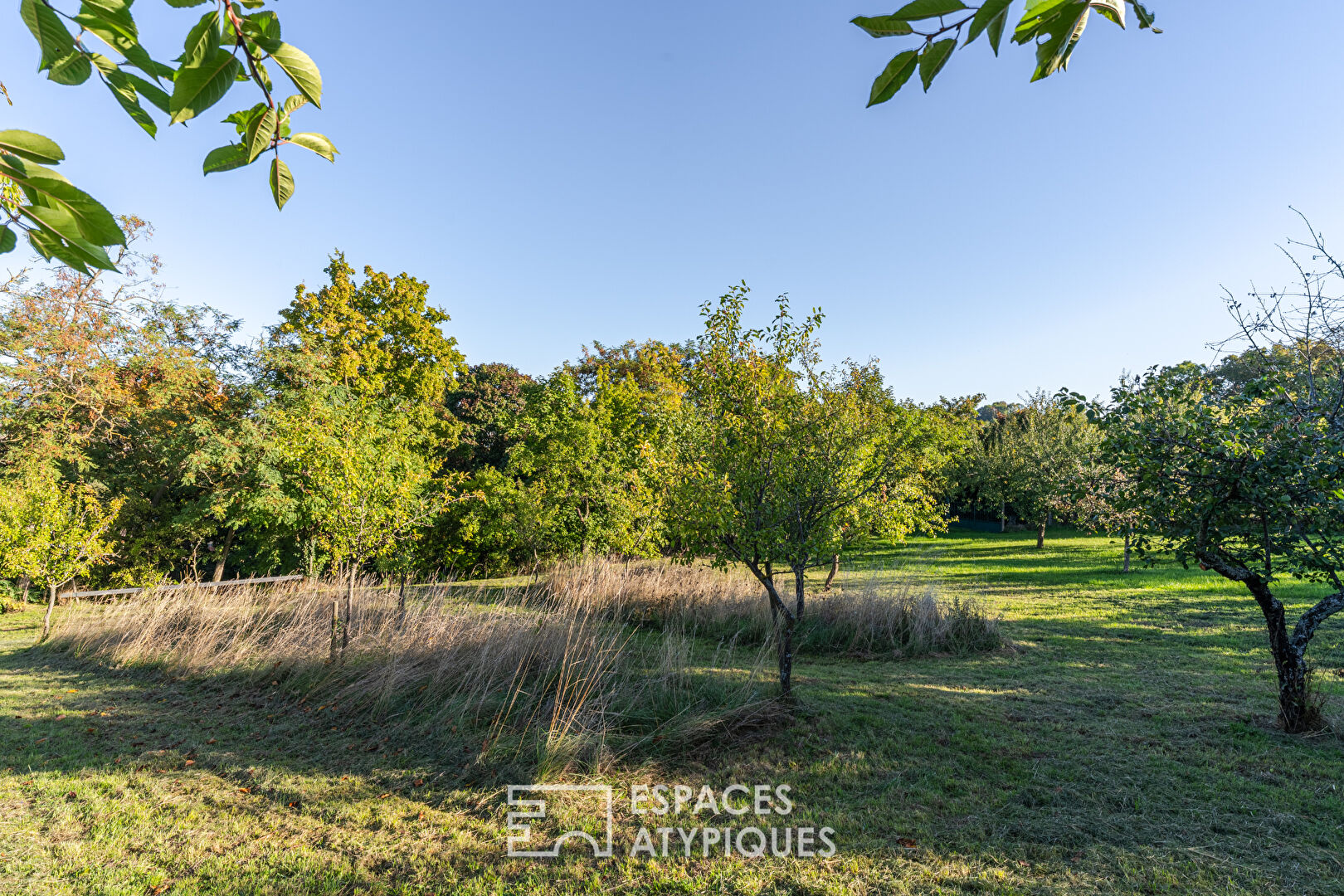 Photo Maison à rénover et son vaste terrain avec verger image 2/6