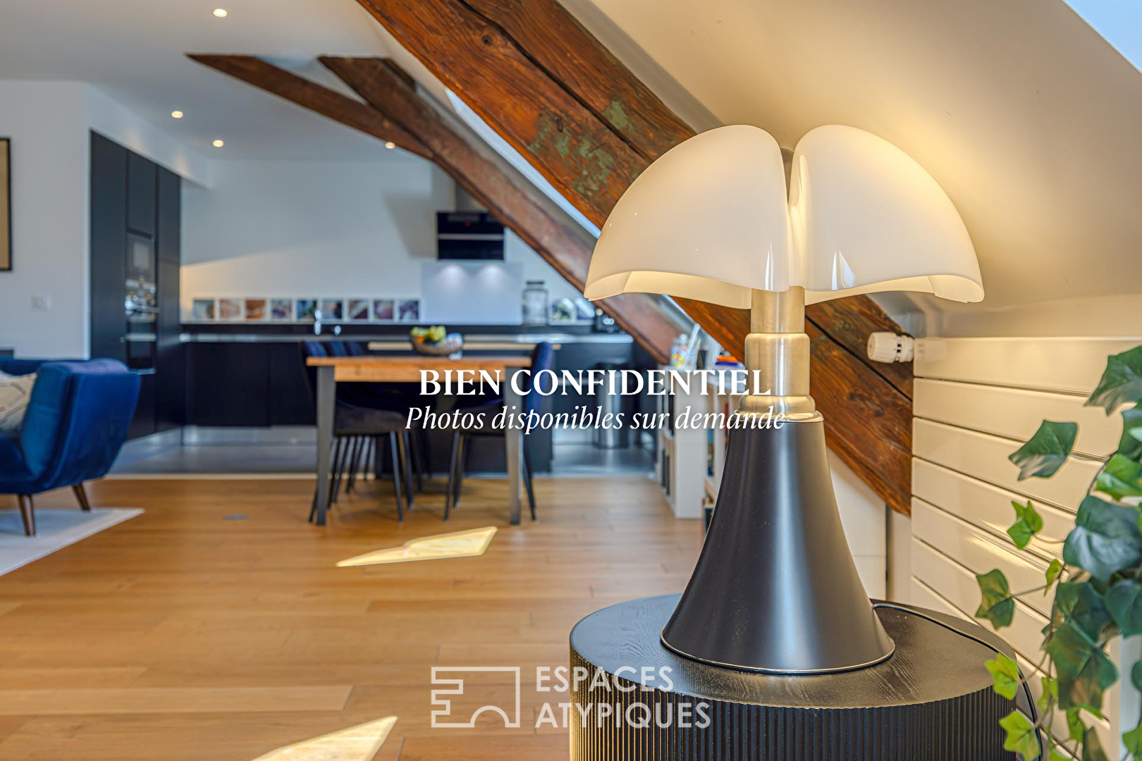 Agence immobilière de ESPACES ATYPIQUES ANNECY - ESPACES ATYPIQUES ANNECY