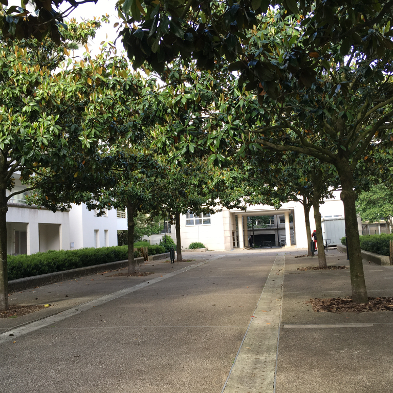 Photo Grand T2 avec terrasse et parking - SAINT-MIHIEL image 3/6