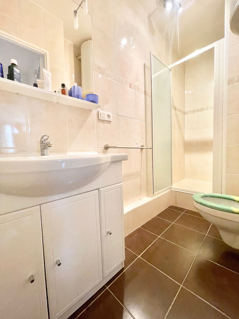 Photo Charmant 2 pièces face aux Buttes-Chaumont image 6/6