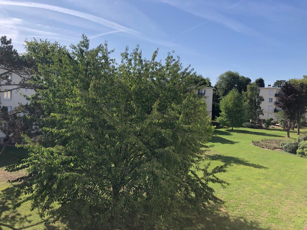 Photo 3 PIECES MEUBLÉ - QUARTIER FORET image 3/6