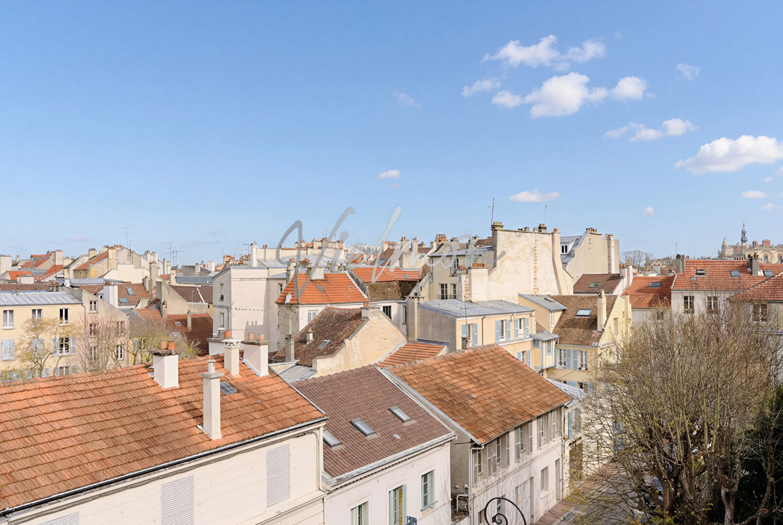 Agence immobilière de Agence Vielmon Immobilier