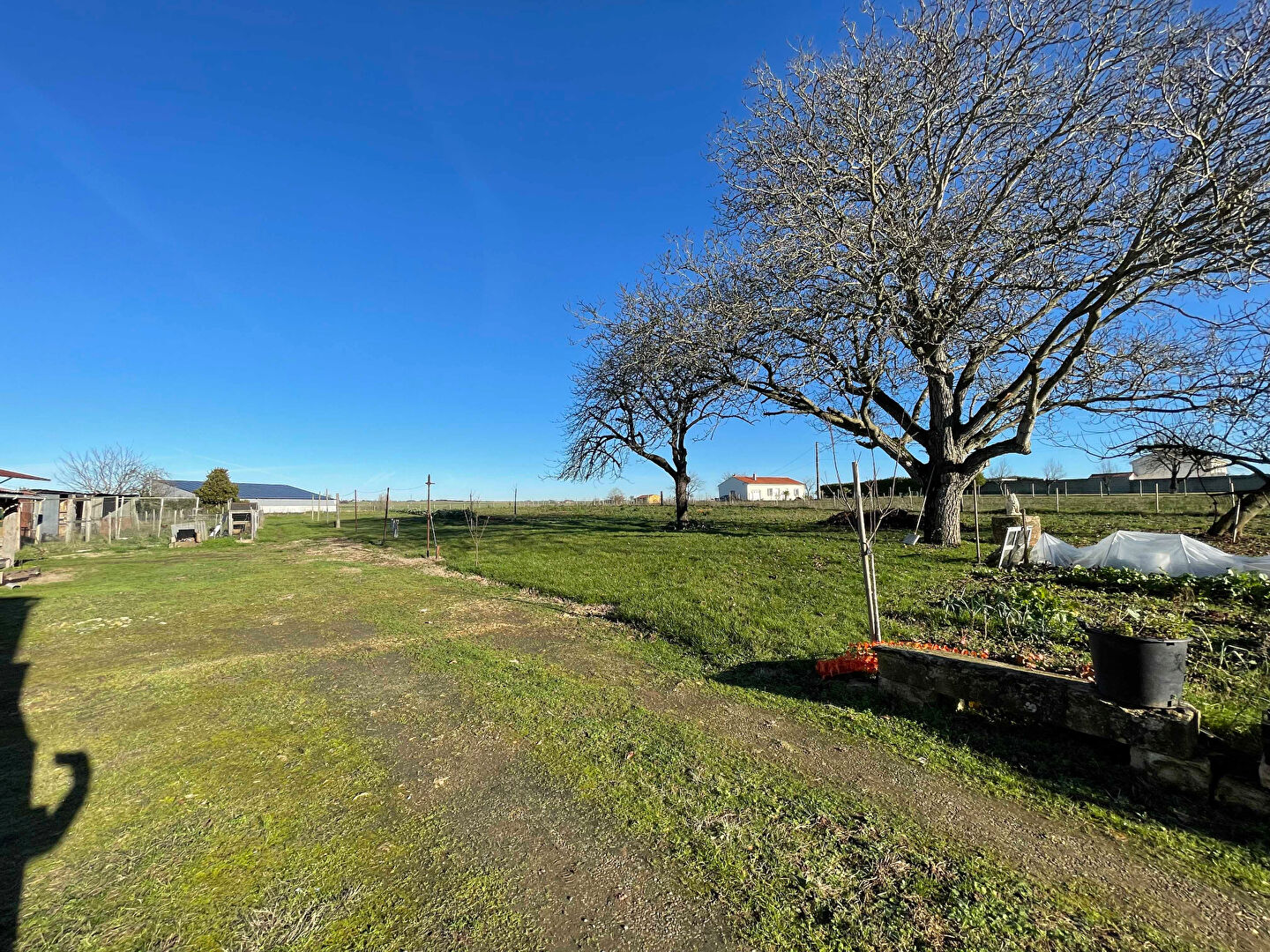 Photo Maison Fontenay Le Comte 6 pièce(s) 169 m2 image 2/6