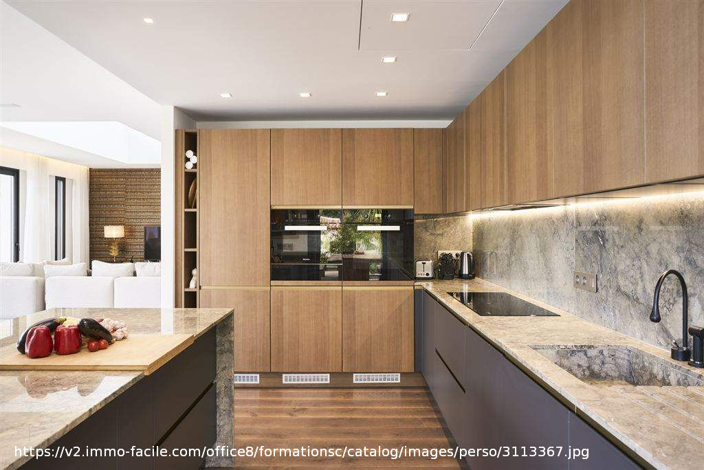 Photo Demeure de prestige Perpignan 15 pièce(s) 1456 m2 image 4/6