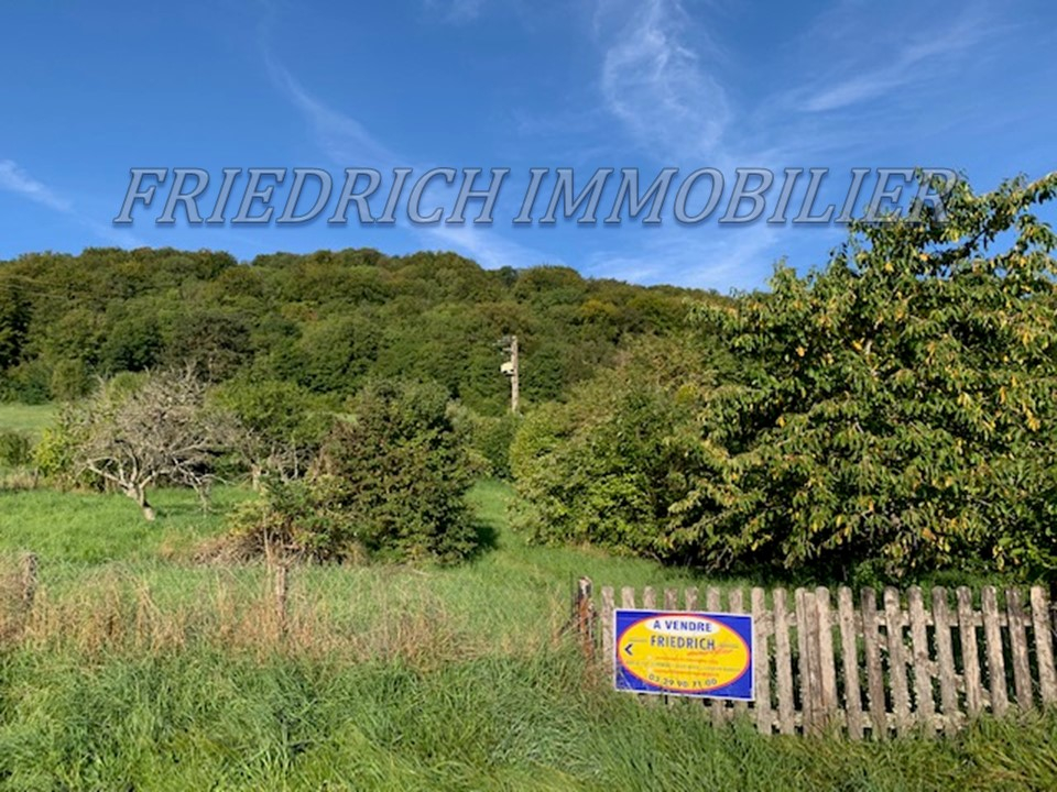 TERRAIN A BATIR AVEC VUE SUR LA BUTTE DE MONTSEC - BUXIERES-SOUS-LES-COTES