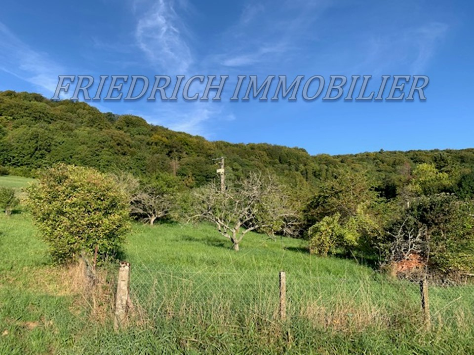 Photo TERRAIN A BATIR AVEC VUE SUR LA BUTTE DE MONTSEC - BUXIERES-SOUS-LES-COTES image 2/5