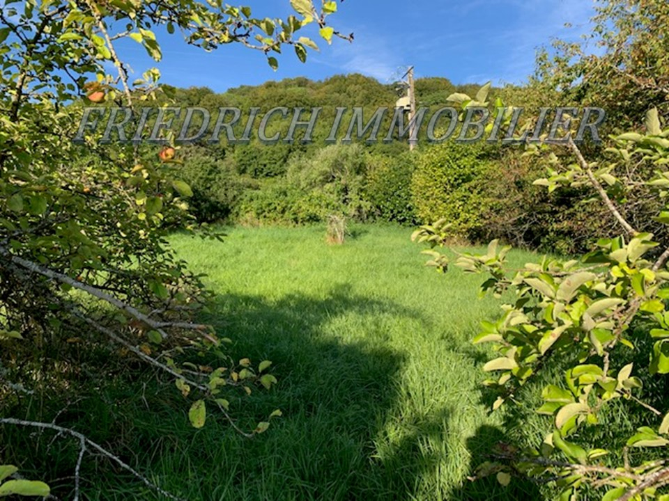 Photo TERRAIN A BATIR AVEC VUE SUR LA BUTTE DE MONTSEC - BUXIERES-SOUS-LES-COTES image 3/5