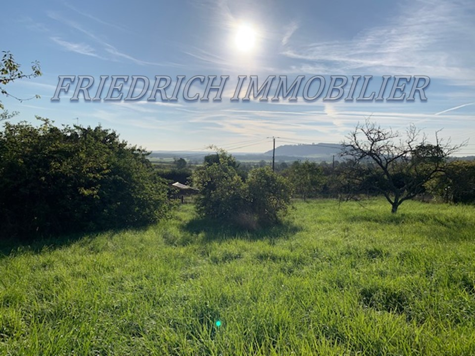 Photo TERRAIN A BATIR AVEC VUE SUR LA BUTTE DE MONTSEC - BUXIERES-SOUS-LES-COTES image 4/5