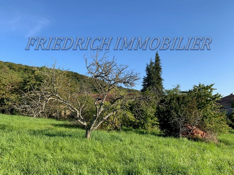 Photo TERRAIN A BATIR AVEC VUE SUR LA BUTTE DE MONTSEC - BUXIERES-SOUS-LES-COTES image 5/5