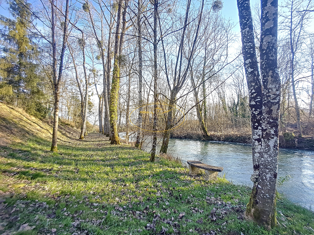 Photo TERRAIN A BATIR, EMPLACEMENT IDYLLIQUE - NANCOIS-SUR-ORNAIN image 2/6