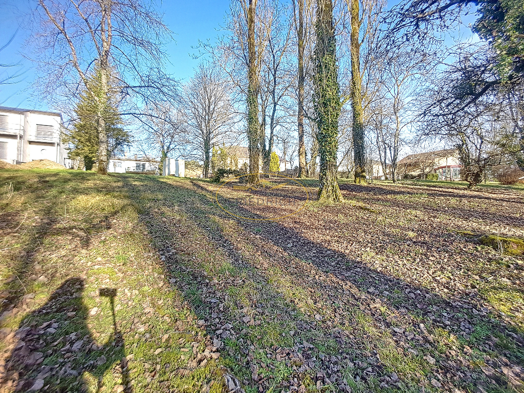 Photo TERRAIN A BATIR, EMPLACEMENT IDYLLIQUE - NANCOIS-SUR-ORNAIN image 3/6