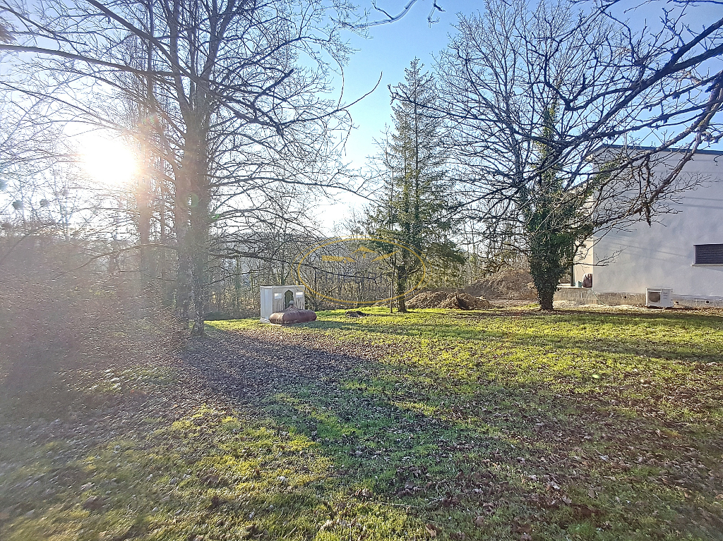 Photo TERRAIN A BATIR, EMPLACEMENT IDYLLIQUE - NANCOIS-SUR-ORNAIN image 5/6