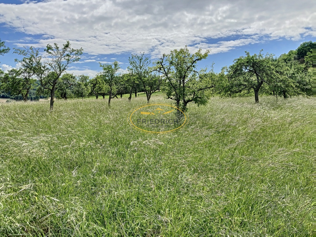 Photo Terrain de loisirs/verger image 2/3