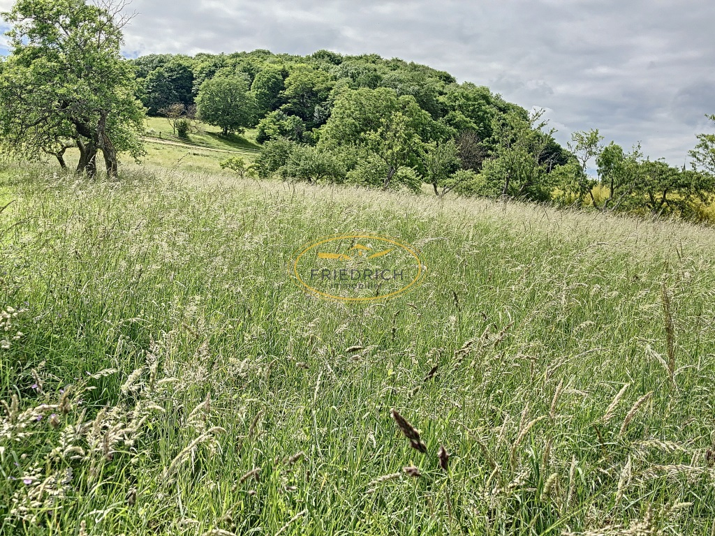 Photo Terrain de loisirs/verger image 3/3