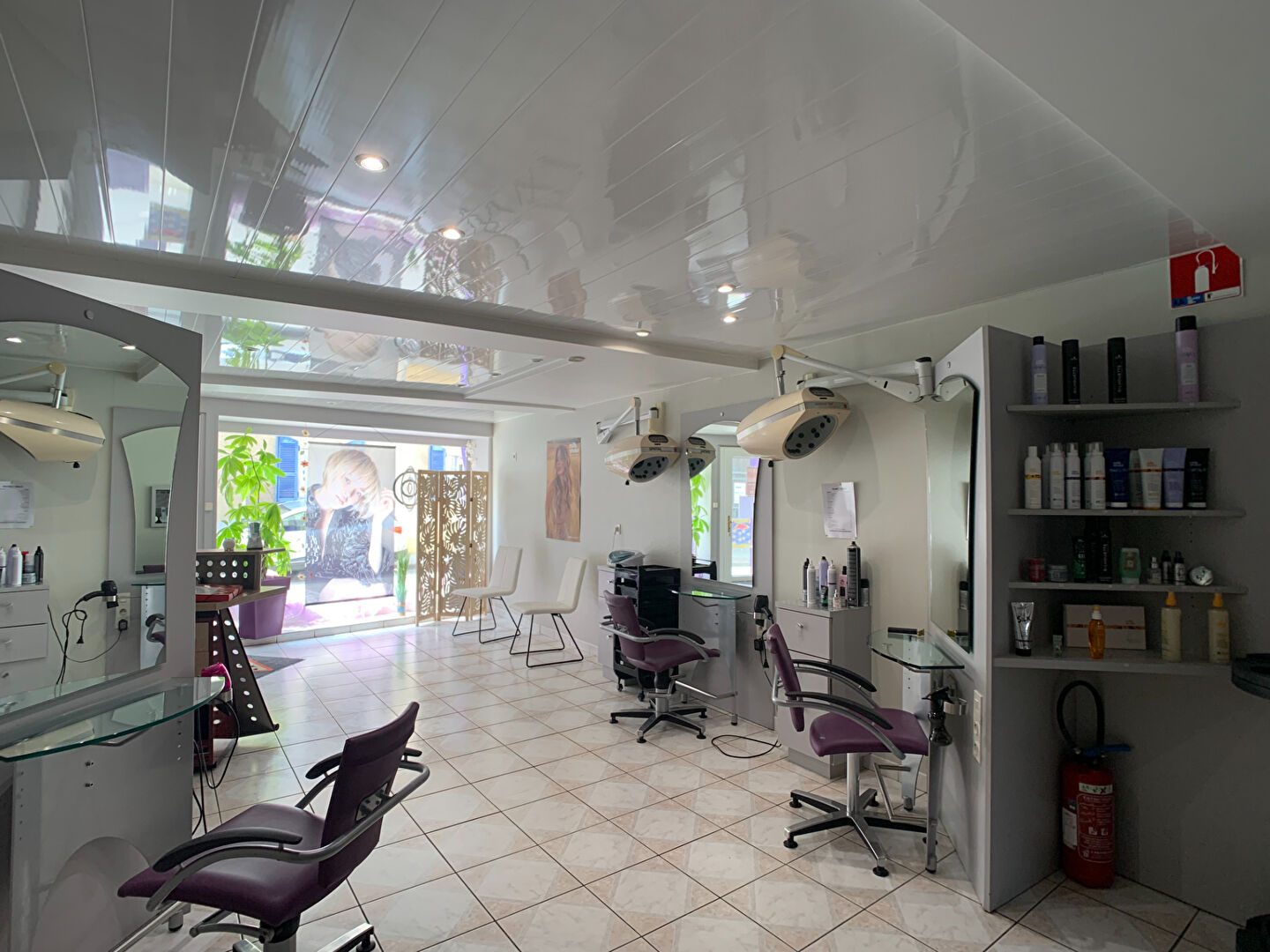 IMMEUBLE À USAGE PROFESSIONNEL ET D'HABITATION - VAUCOULEURS