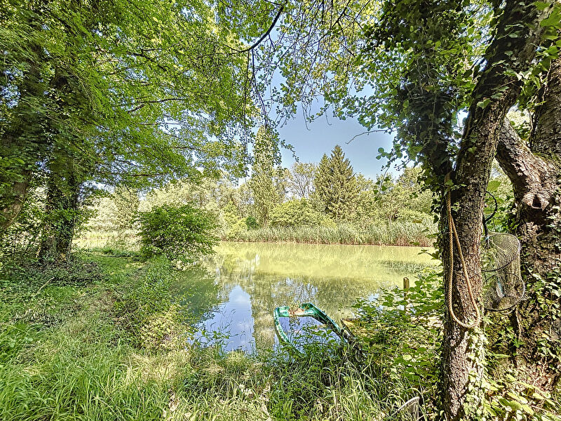 Photo AGREABLE PROPRIETE SUR 10 HECTARES 95 ARES - REGION COMMERCY image 2/6