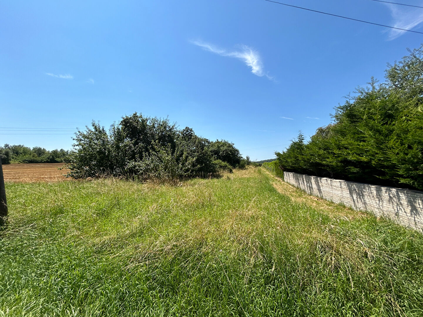 Photo TERRAIN EN NATURE DE VERGER image 1/1