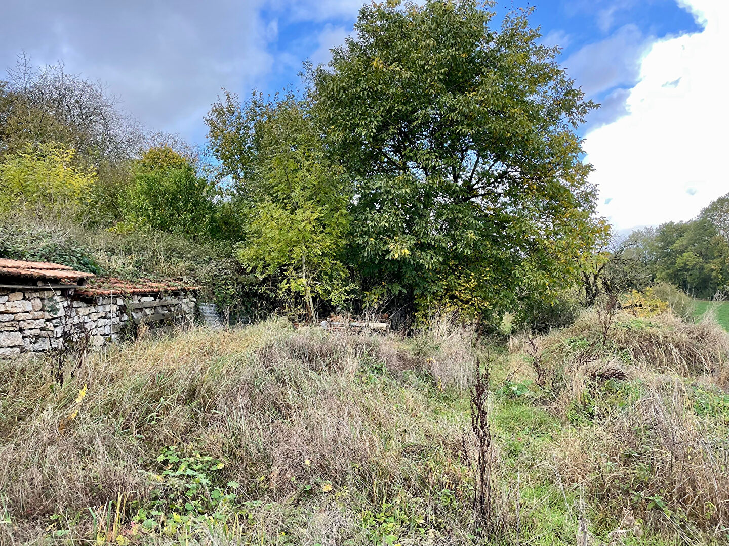 TERRAIN A BÂTIR AVEC BÂTIMENT A DÉMOLIR - BIENCOURT SUR ORGE