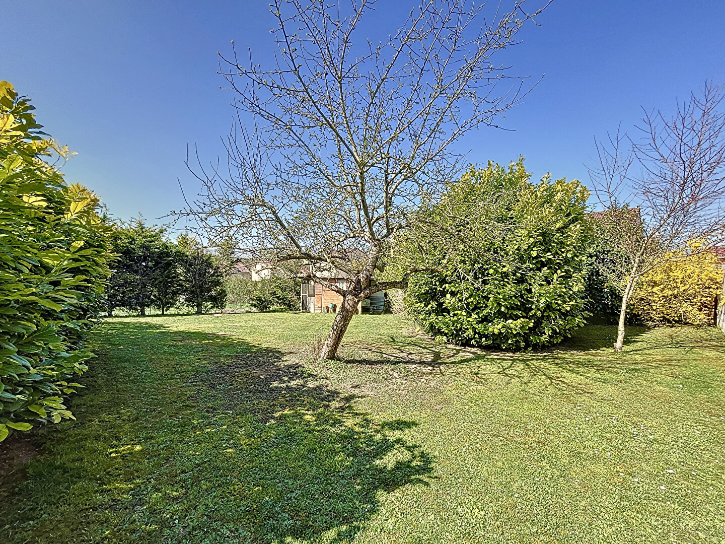 Photo BEAU PAVILLON INDÉPENDANT SUR SOUS-SOL image 4/6