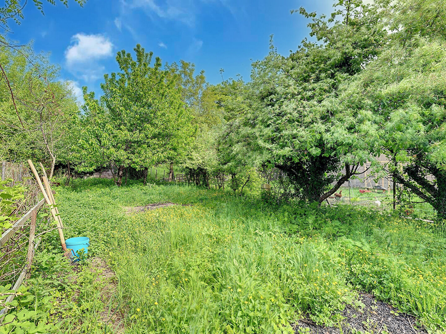 Photo MAISON DE VILLAGE - VIGNEULLES LES HATTONCHATEL image 5/6