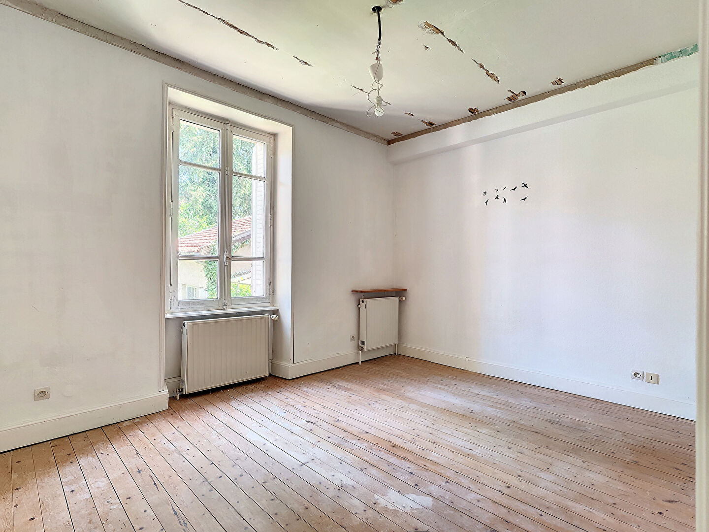 Photo DEUX APPARTEMENTS AU REZ-DE-CHAUSSEE - A RENOVER image 3/6