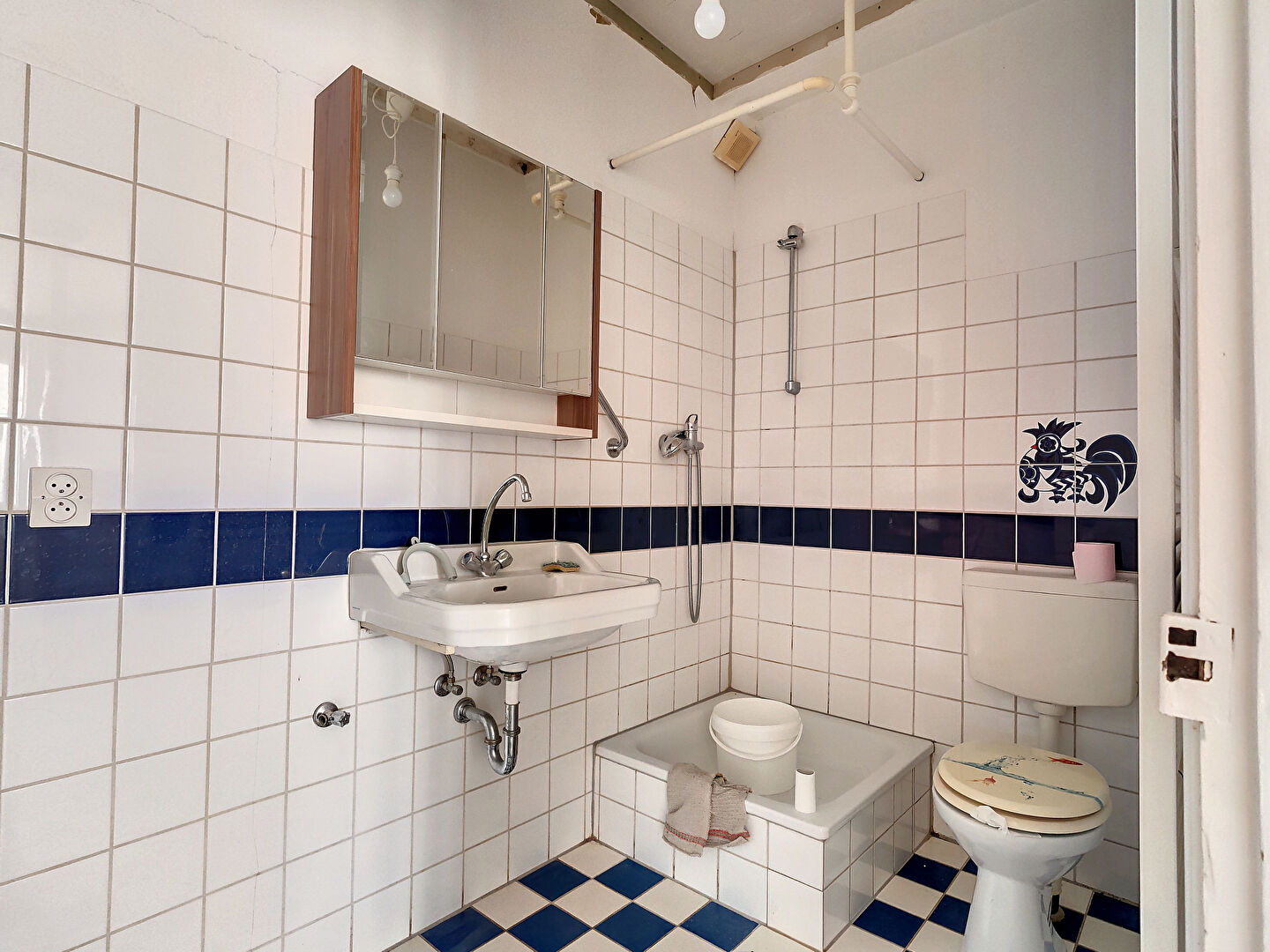 Photo DEUX APPARTEMENTS AU REZ-DE-CHAUSSEE - A RENOVER image 6/6