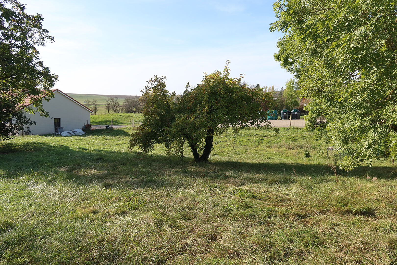Photo Terrain à bâtir Delme 1241 m2 image 3/5