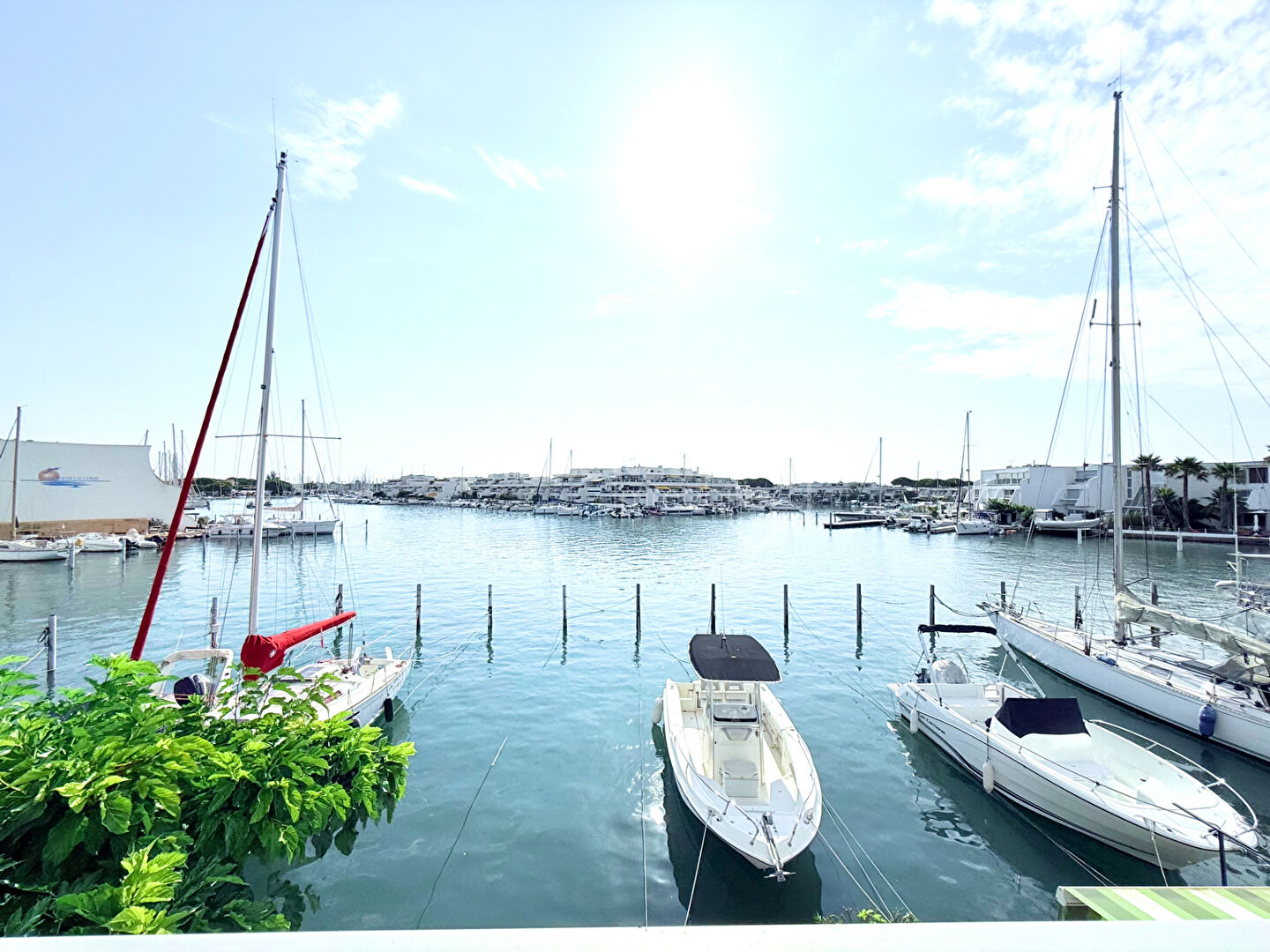 Agence immobilière de Cote Marina - GNIMMO - COTE GRANDE MOTTE