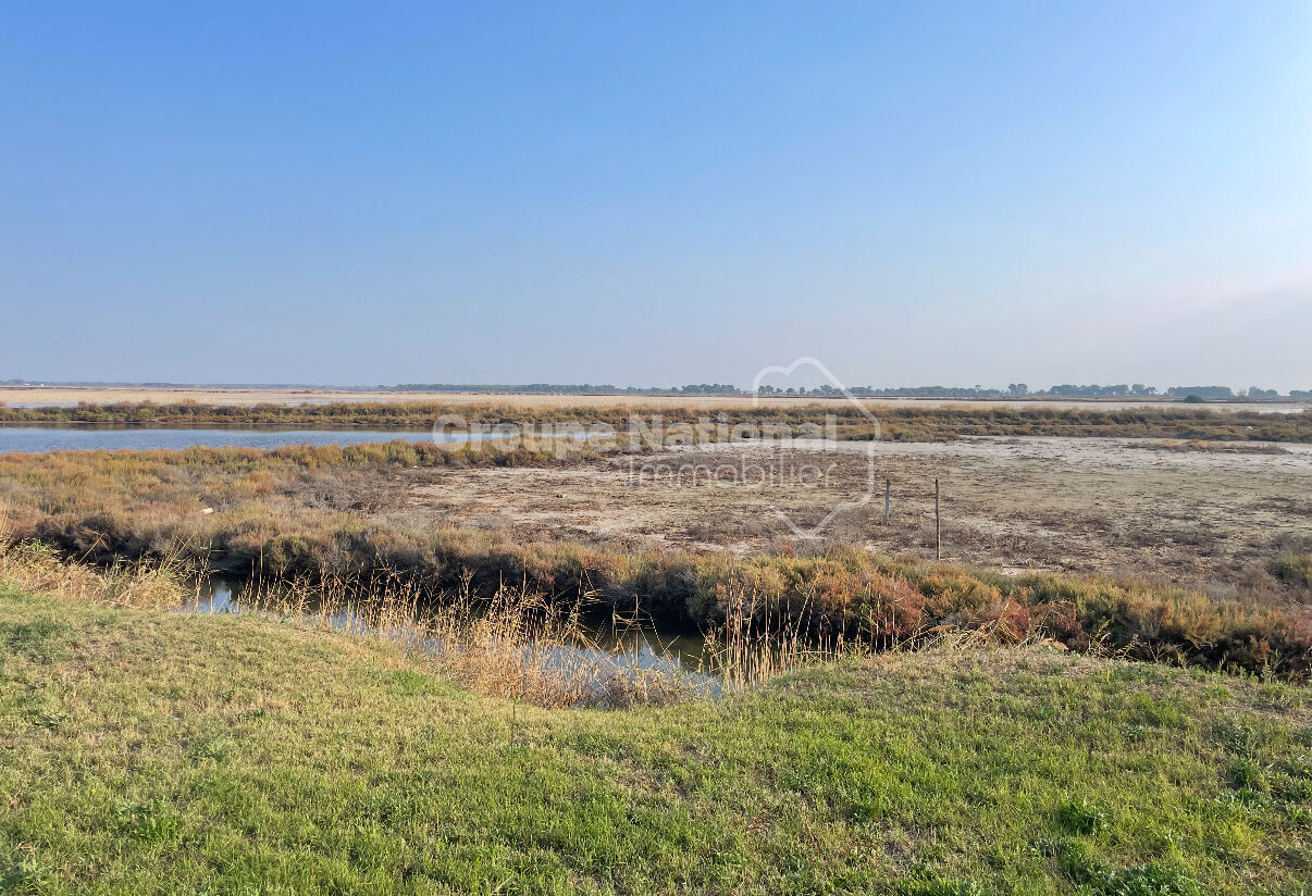 Agence immobilière de Cote Marina - GNIMMO - COTE GRANDE MOTTE