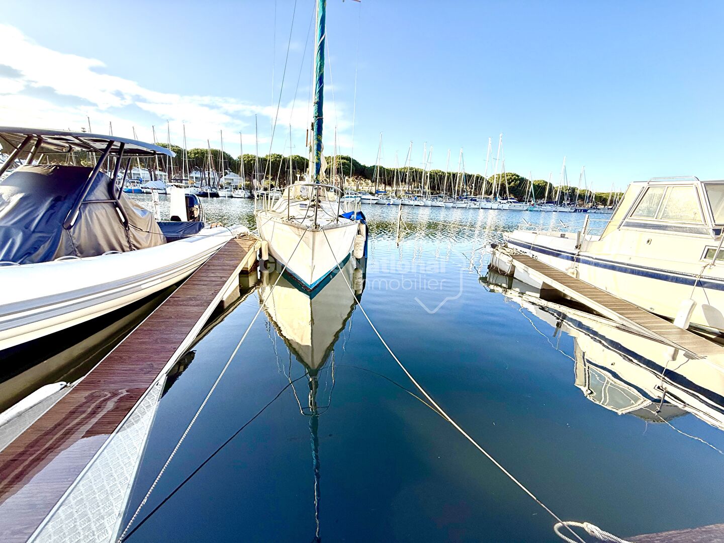 Agence immobilière de Cote Marina - GNIMMO - COTE GRANDE MOTTE