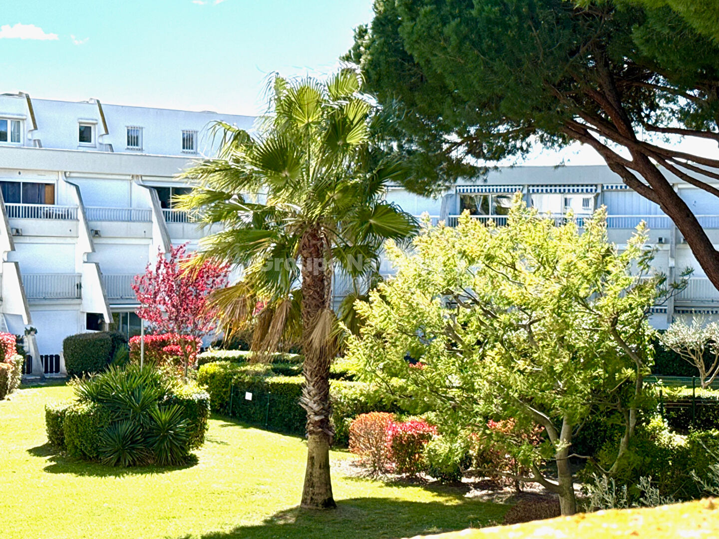 Agence immobilière de Cote Marina - GNIMMO - COTE GRANDE MOTTE