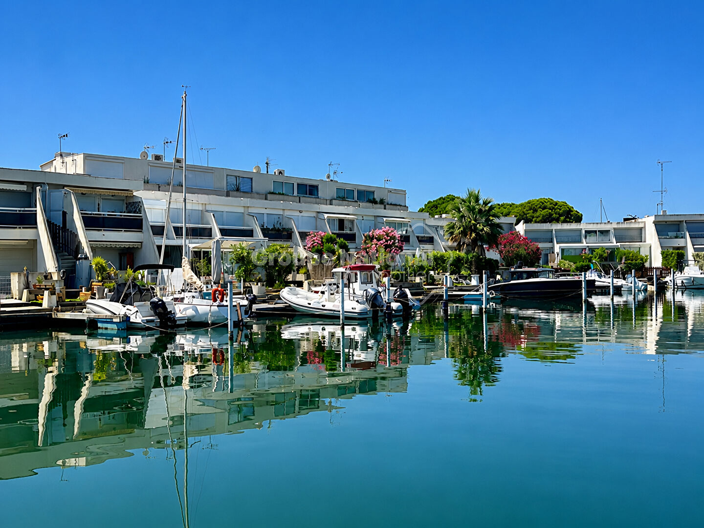 Agence immobilière de Cote Marina - GNIMMO - COTE GRANDE MOTTE