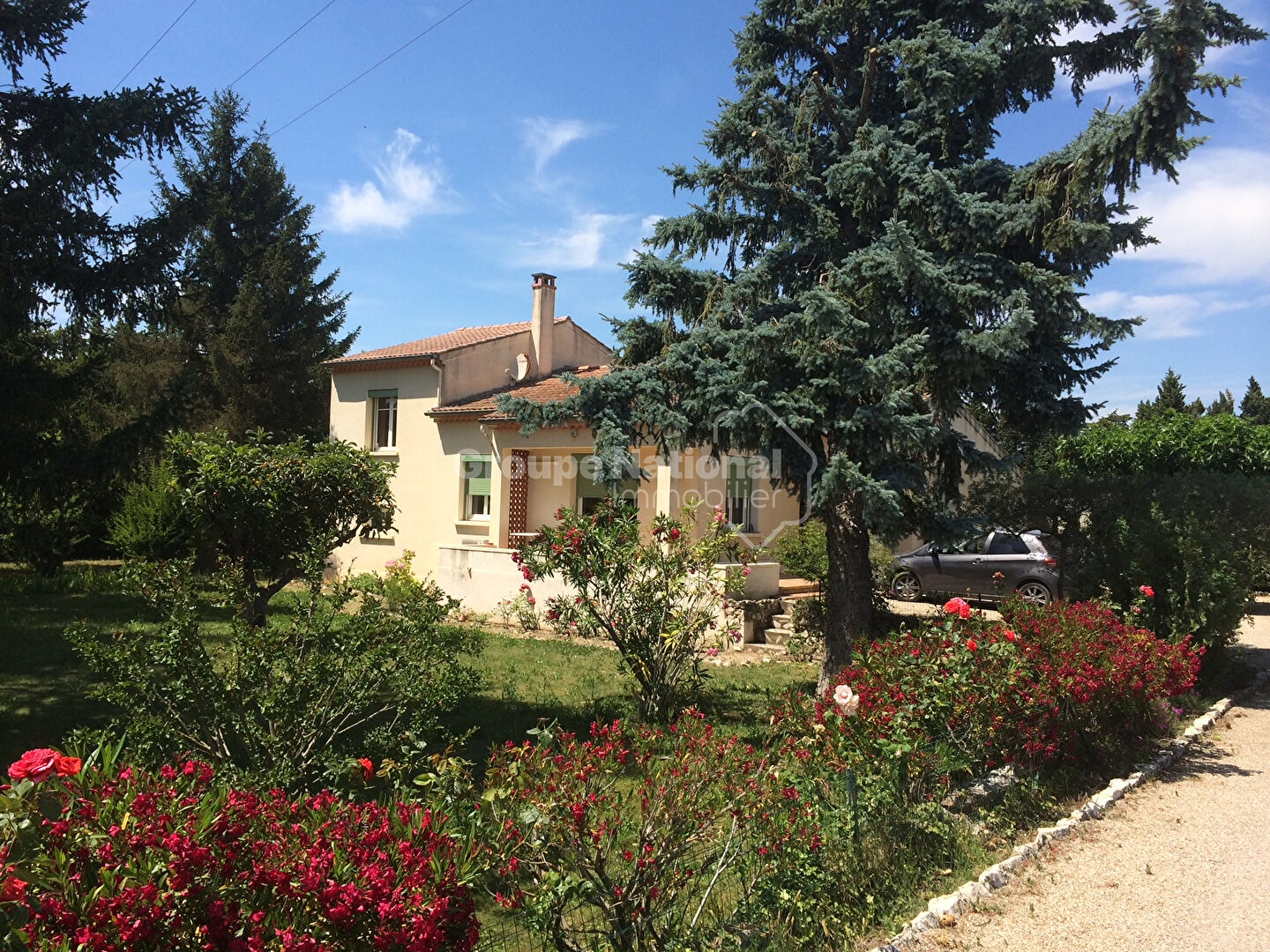 Agence immobilière de 
 SDEP Immobilier - SDEP Chateaurenard Immobilier 
