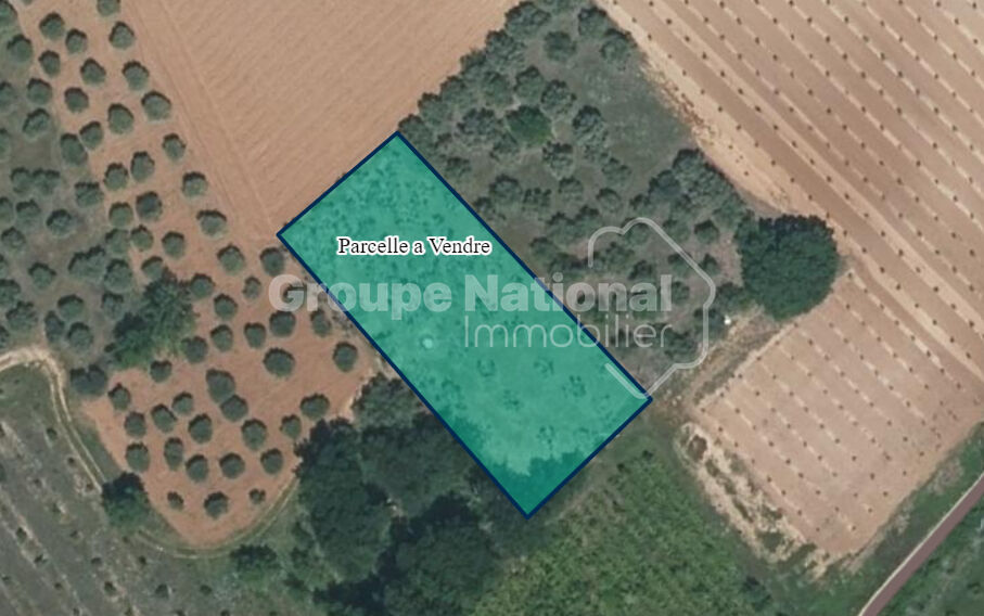 Agence immobilière de 
 SDEP Immobilier - SDEP Chateaurenard Immobilier 
