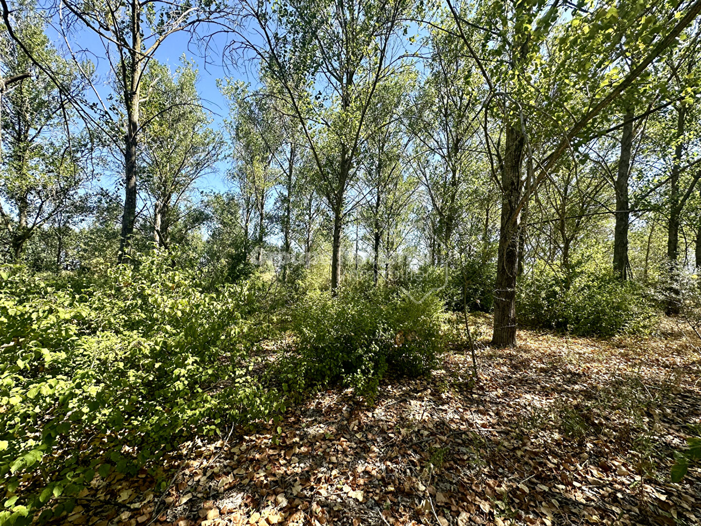 Agence immobilière de CALVET IMMOBILIER - GNIMMO