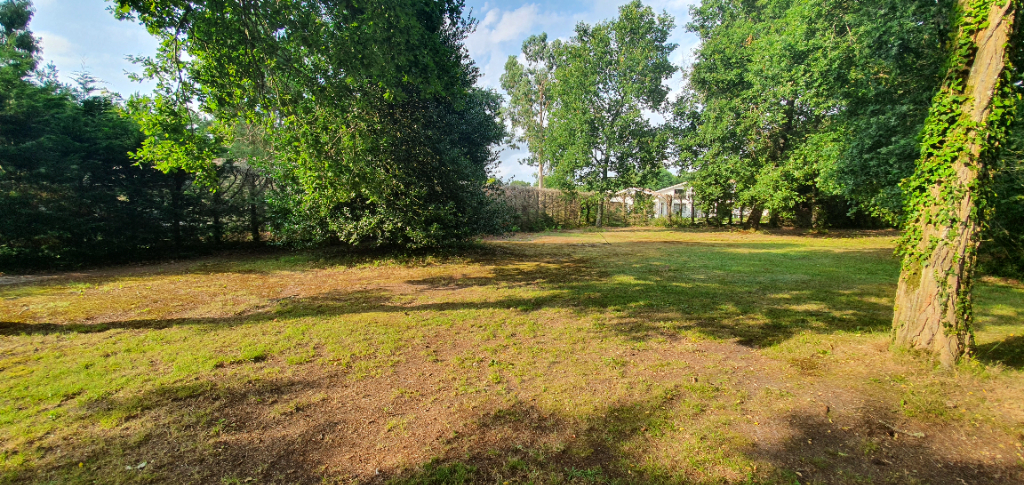 Photo Terrain avec permis de construire image 2/2