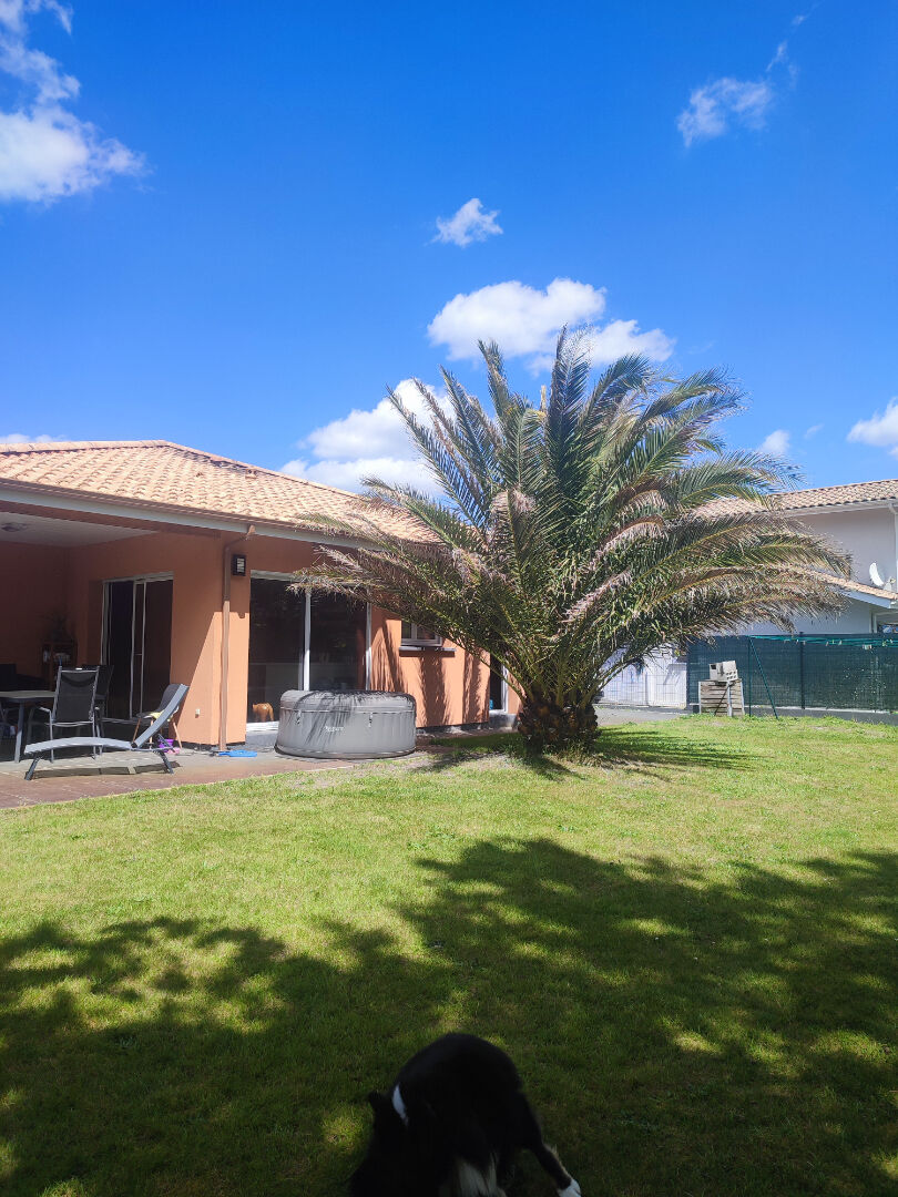 Agence immobilière de GOSSELIN IMMOBILIER - BISCARROSSE - GOSSELIN IMMOBILIER - BISCARROSSE