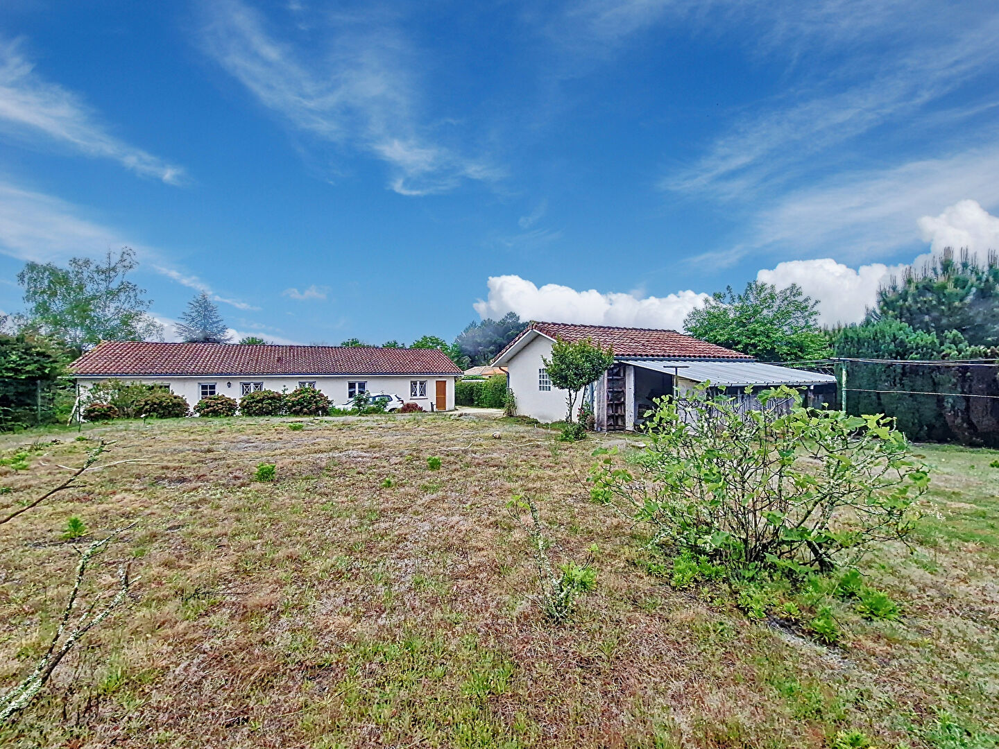 Photo Sanguinet Proche Lac image 3/6