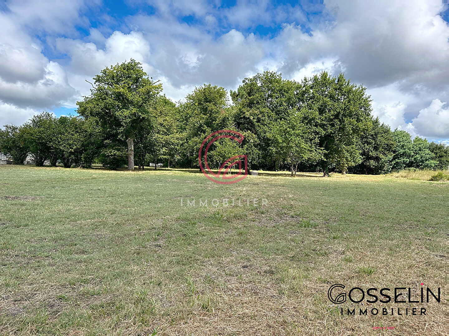 Terrain 1201m2 proche de l'océan !