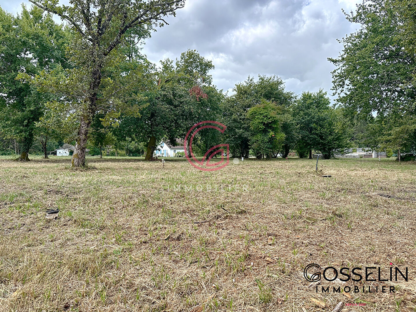 Terrain Pontenx Les Forges 1527 m2 constructible