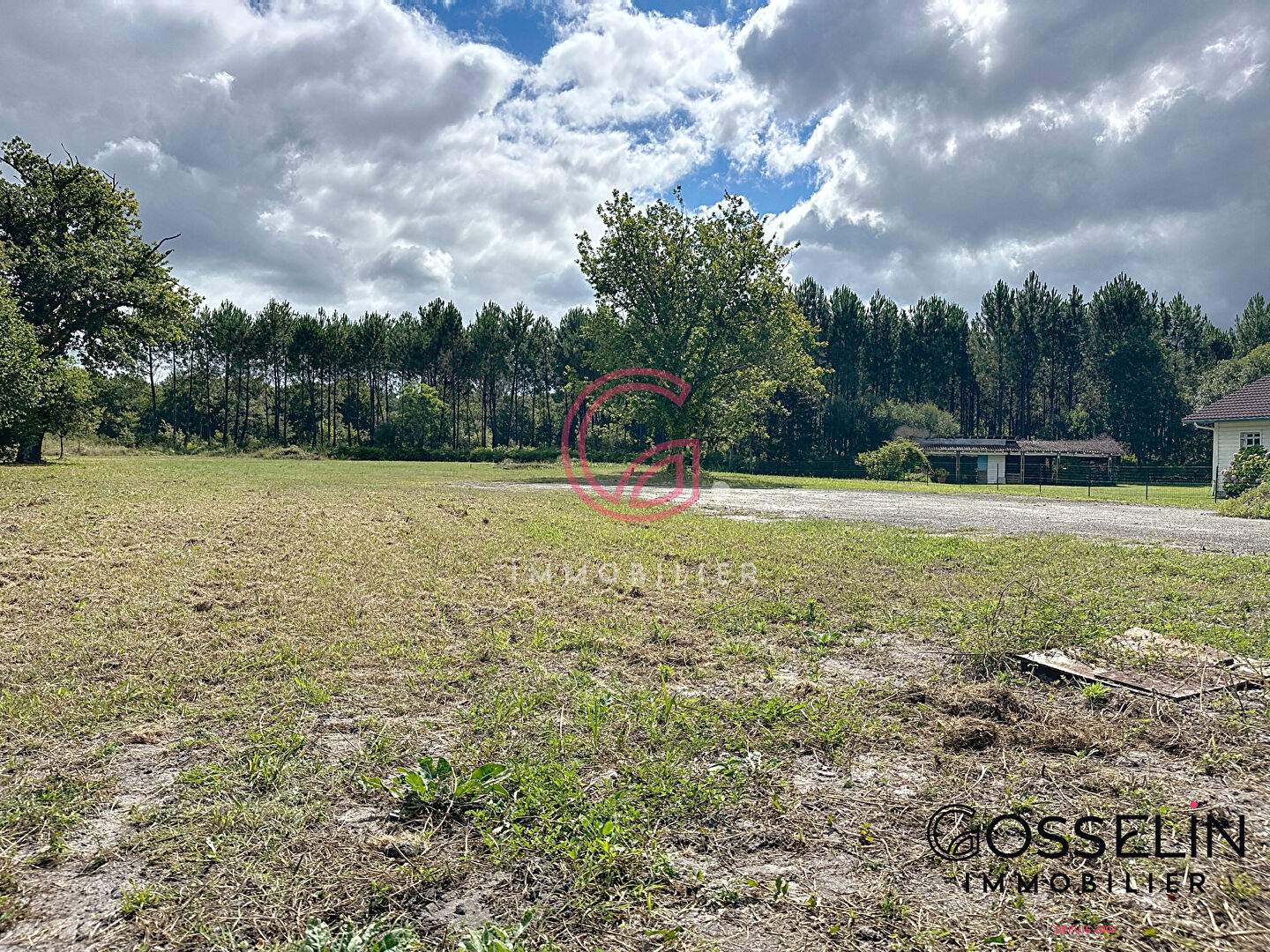 Photo Terrain Pontenx Les Forges 1038m2 à 15min de l'océan image 2/4