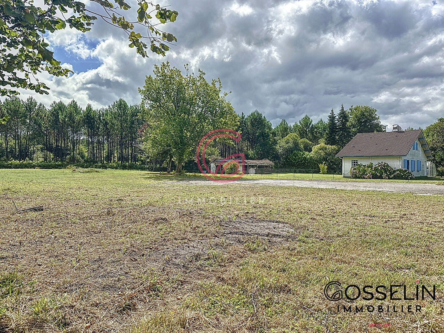 Photo Terrain Pontenx Les Forges 1038m2 à 15min de l'océan image 3/4